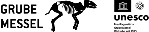 logo messel